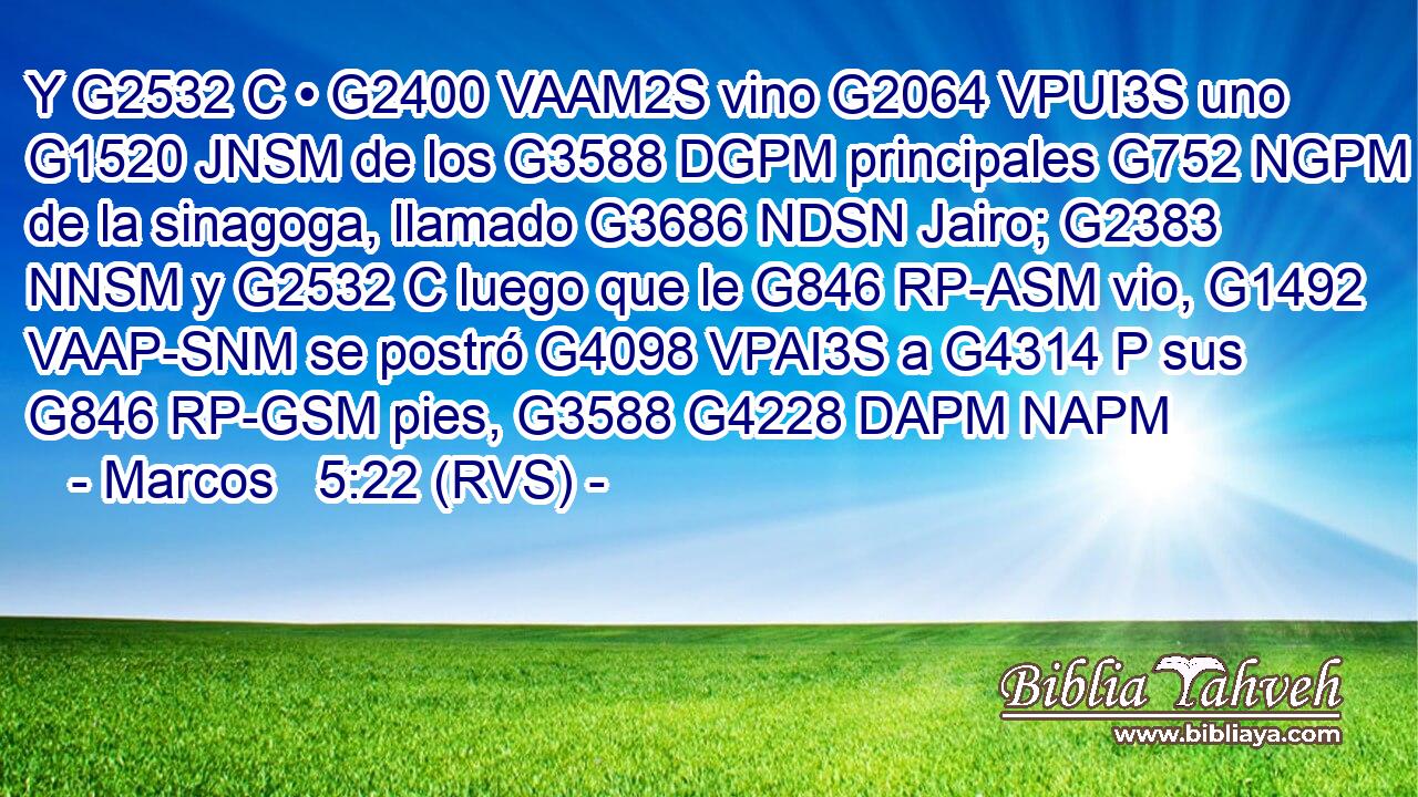 Y G2532 C • G2400 VAAM2S vino G2064 VPUI3S uno G1520 JNSM de los G3588 DGPM principales G752 NGPM de la sinagoga, llamado G3686 NDSN Jairo; G2383 NNSM y G2532 C luego que le G846 RP-ASM vio, G1492 VAAP-SNM se postró G4098 VPAI3S a G4314 P sus G846 RP-GSM pies, G3588 G4228 DAPM NAPM 