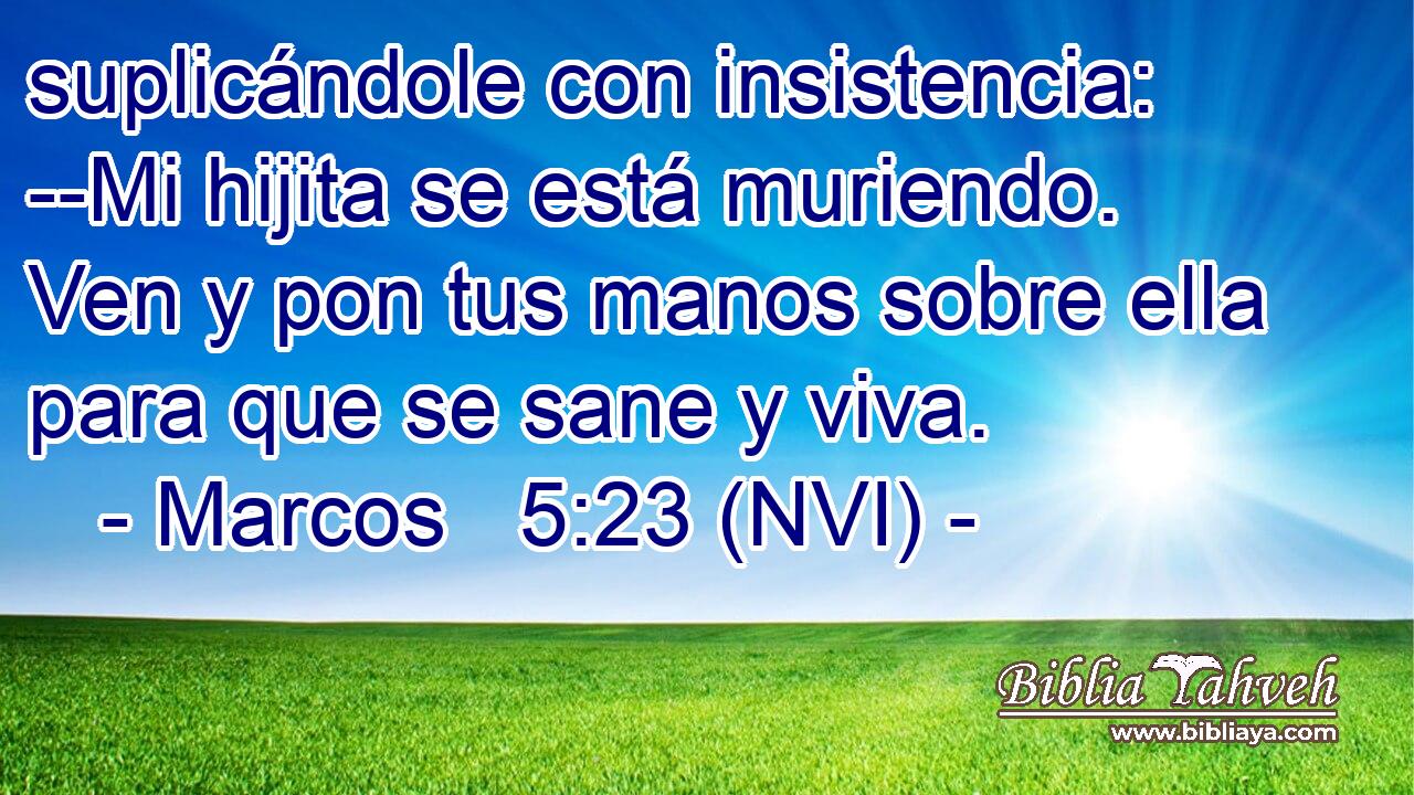  suplicándole con insistencia: --Mi hijita se está muriendo. Ven y pon tus manos sobre ella para que se sane y viva. 