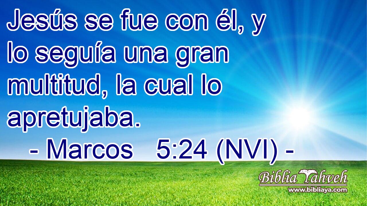  Jesús se fue con él, y lo seguía una gran multitud, la cual lo apretujaba. 