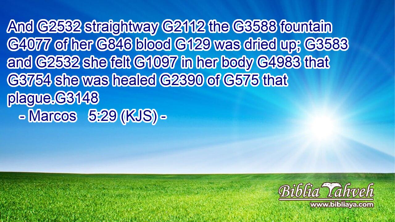 And G2532 straightway G2112 the G3588 fountain G4077 of her G846 blood G129 was dried up; G3583 and G2532 she felt G1097 in her body G4983 that G3754 she was healed G2390 of G575 that plague.G3148