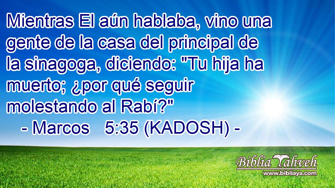  Mientras El aún hablaba, vino una gente de la casa del principal de la sinagoga, diciendo: 