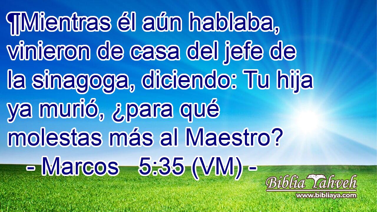  ¶Mientras él aún hablaba, vinieron de casa del jefe de la sinagoga, diciendo: Tu hija ya murió, ¿para qué molestas más al Maestro? 