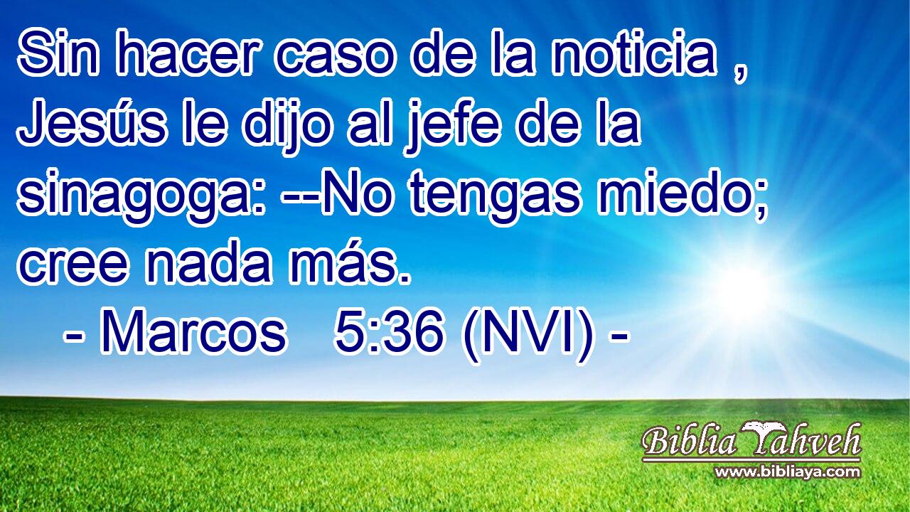  Sin hacer caso de la noticia , Jesús le dijo al jefe de la sinagoga: --No tengas miedo; cree nada más. 
