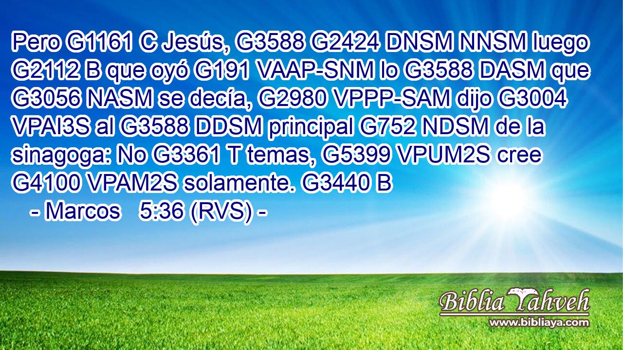 Pero G1161 C Jesús, G3588 G2424 DNSM NNSM luego G2112 B que oyó G191 VAAP-SNM lo G3588 DASM que G3056 NASM se decía, G2980 VPPP-SAM dijo G3004 VPAI3S al G3588 DDSM principal G752 NDSM de la sinagoga: No G3361 T temas, G5399 VPUM2S cree G4100 VPAM2S solamente. G3440 B 