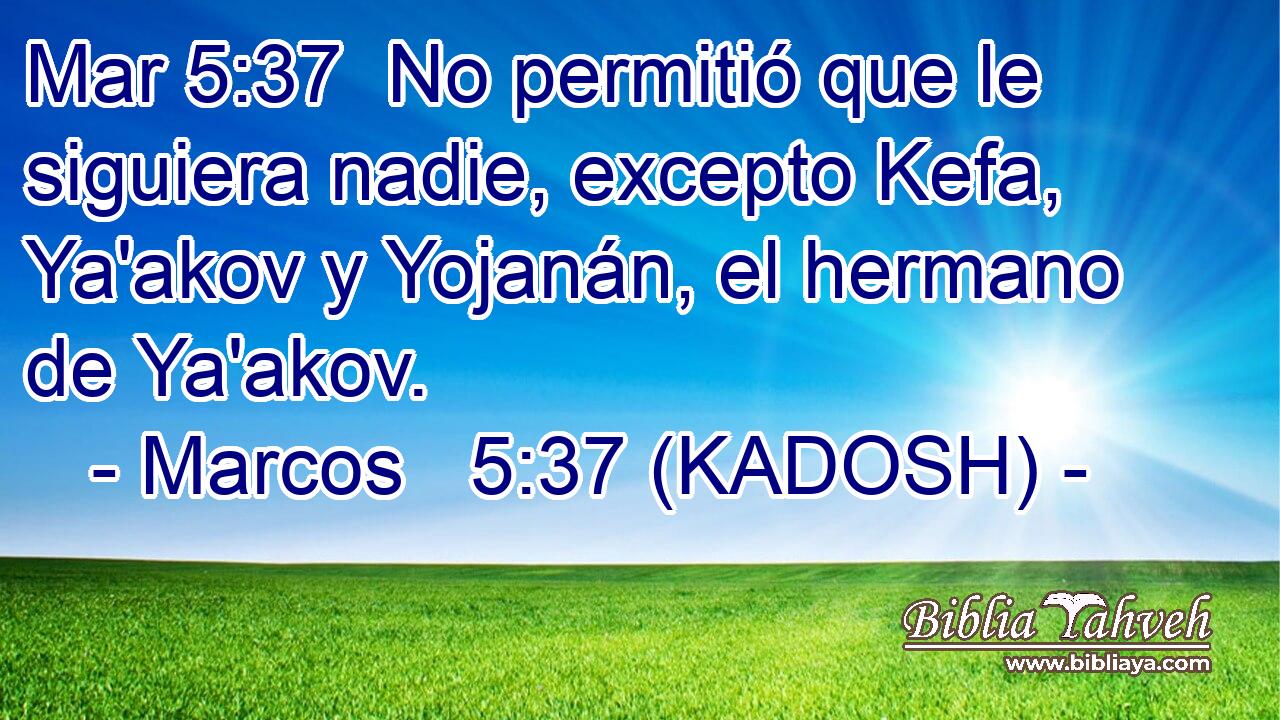  No permitió que le siguiera nadie, excepto Kefa, Ya'akov y Yojanán, el hermano de Ya'akov. 