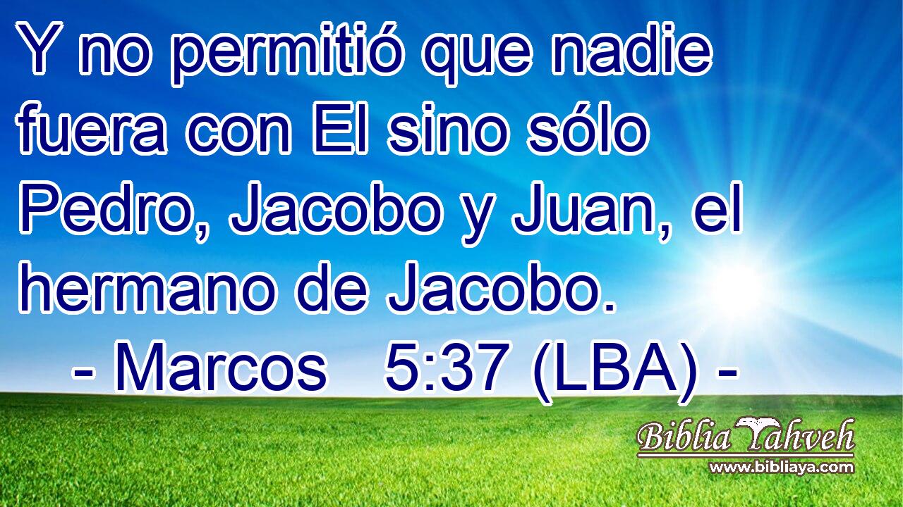 Y no permitió que nadie fuera con El sino sólo Pedro, Jacobo y Juan, el hermano de Jacobo.