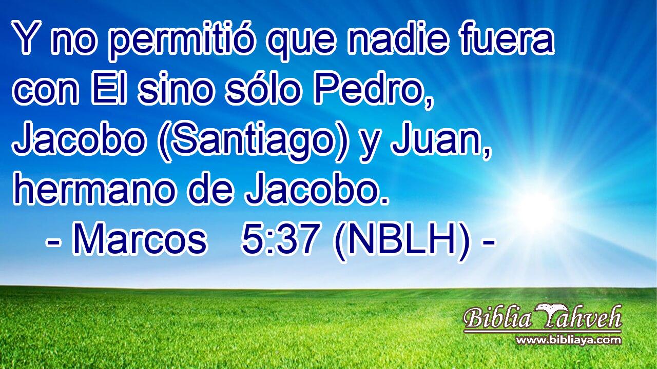  Y no permitió que nadie fuera con El sino sólo Pedro, Jacobo (Santiago) y Juan, hermano de Jacobo. 