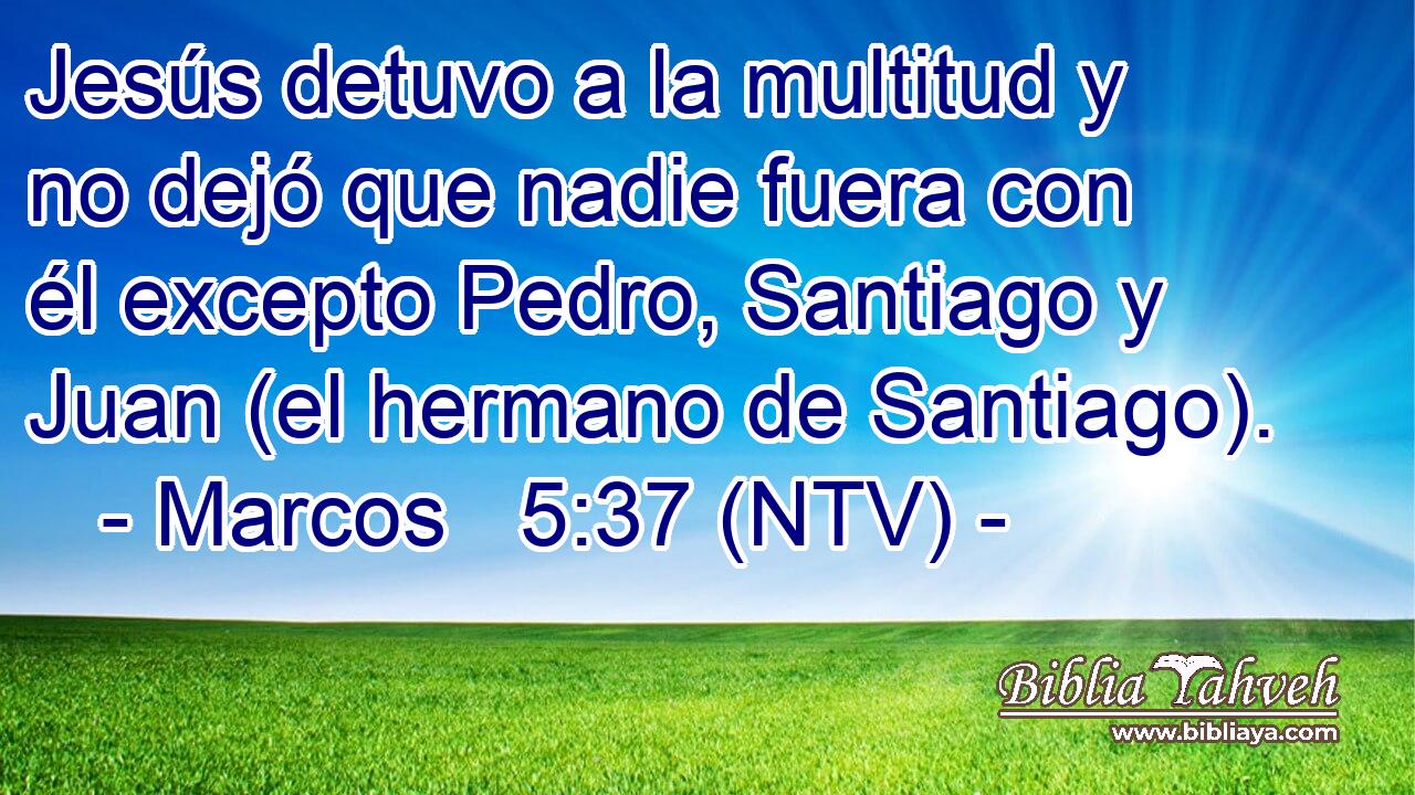 Jesús detuvo a la multitud y no dejó que nadie fuera con él excepto Pedro, Santiago y Juan (el hermano de Santiago).