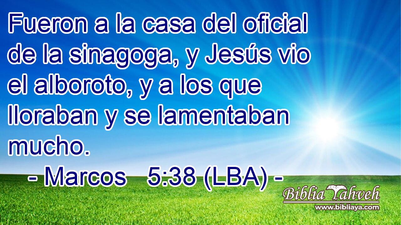 Fueron a la casa del oficial de la sinagoga, y Jesús vio el alboroto, y a los que lloraban y se lamentaban mucho.