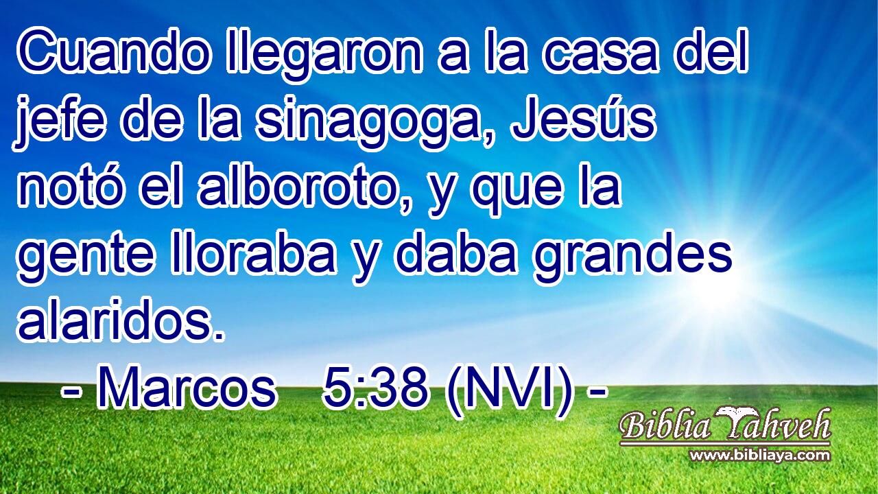  Cuando llegaron a la casa del jefe de la sinagoga, Jesús notó el alboroto, y que la gente lloraba y daba grandes alaridos. 