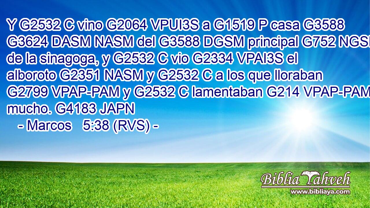 Y G2532 C vino G2064 VPUI3S a G1519 P casa G3588 G3624 DASM NASM del G3588 DGSM principal G752 NGSM de la sinagoga, y G2532 C vio G2334 VPAI3S el alboroto G2351 NASM y G2532 C a los que lloraban G2799 VPAP-PAM y G2532 C lamentaban G214 VPAP-PAM mucho. G4183 JAPN 