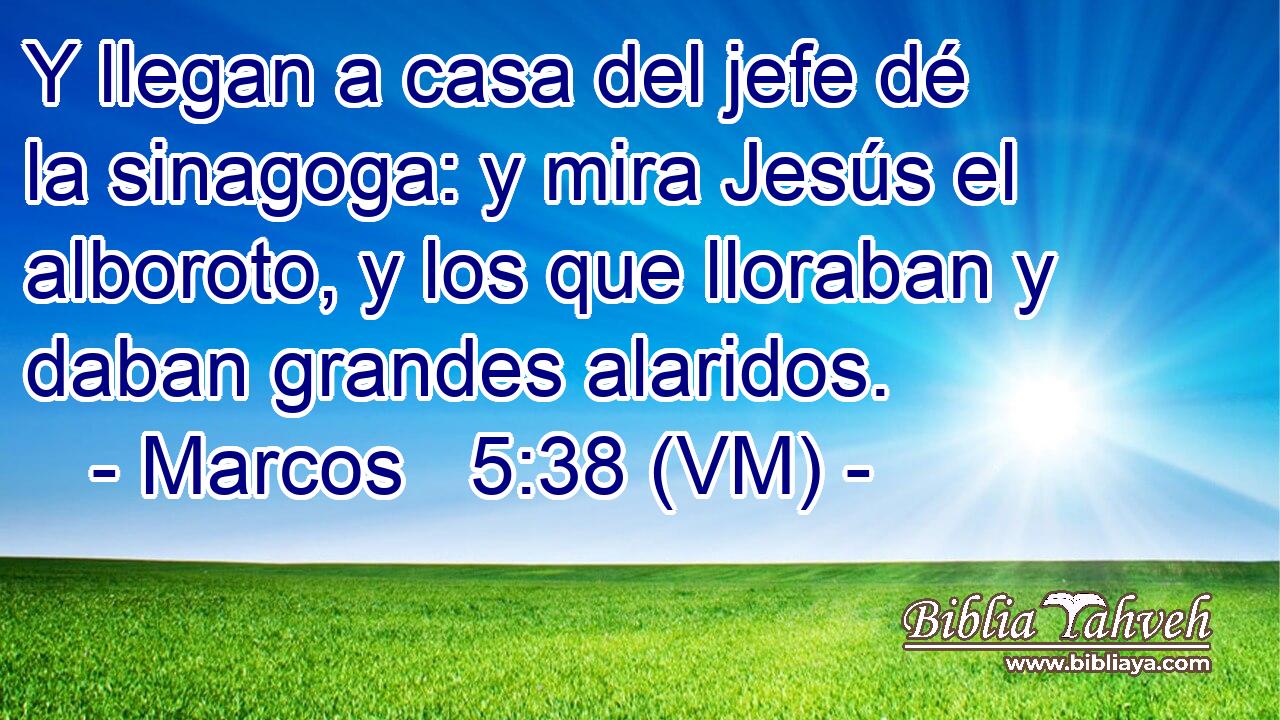  Y llegan a casa del jefe dé la sinagoga: y mira Jesús el alboroto, y los que lloraban y daban grandes alaridos. 