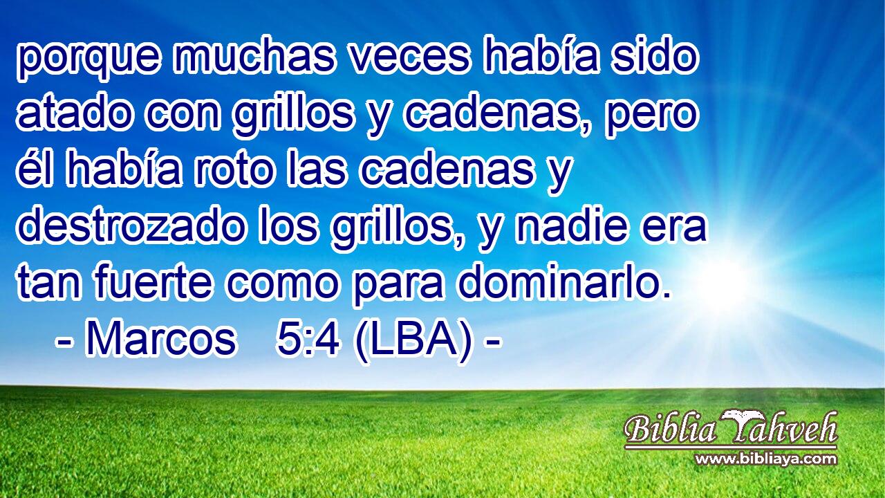 porque muchas veces había sido atado con grillos y cadenas, pero él había roto las cadenas y destrozado los grillos, y nadie era tan fuerte como para dominarlo.
