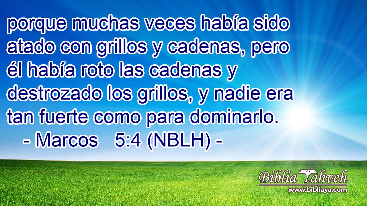  porque muchas veces había sido atado con grillos y cadenas, pero él había roto las cadenas y destrozado los grillos, y nadie era tan fuerte como para dominarlo. 