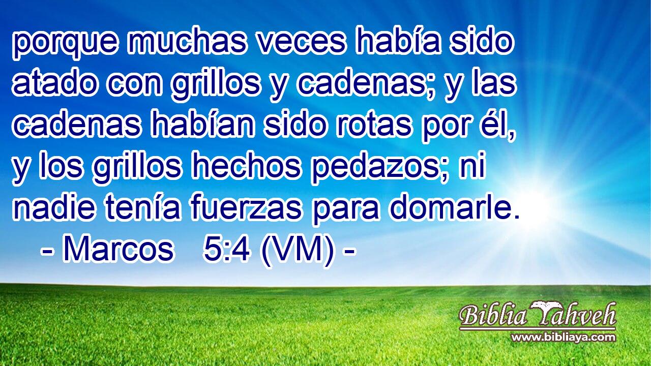  porque muchas veces había sido atado con grillos y cadenas; y las cadenas habían sido rotas por él, y los grillos hechos pedazos; ni nadie tenía fuerzas para domarle. 