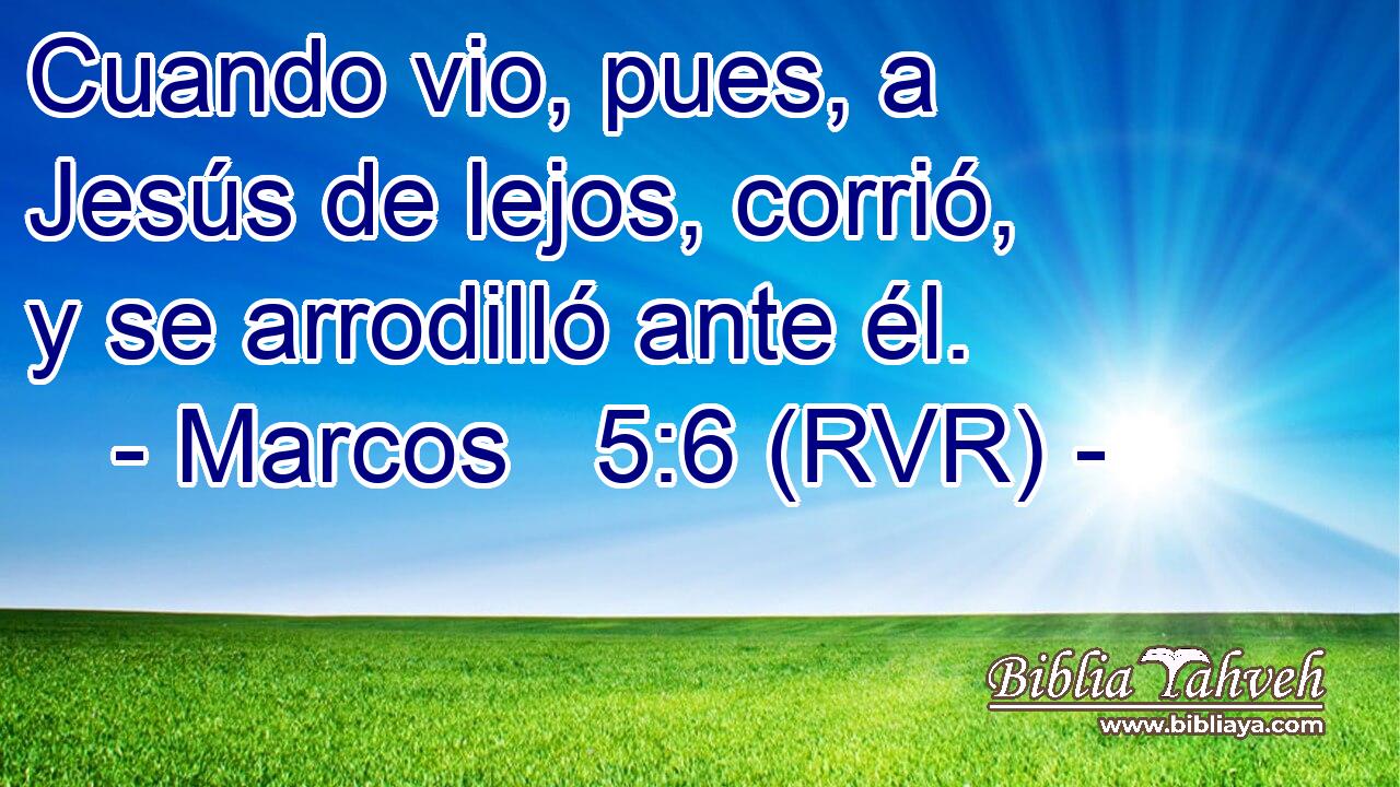 Cuando vio, pues, a Jesús de lejos, corrió, y se arrodilló ante él.