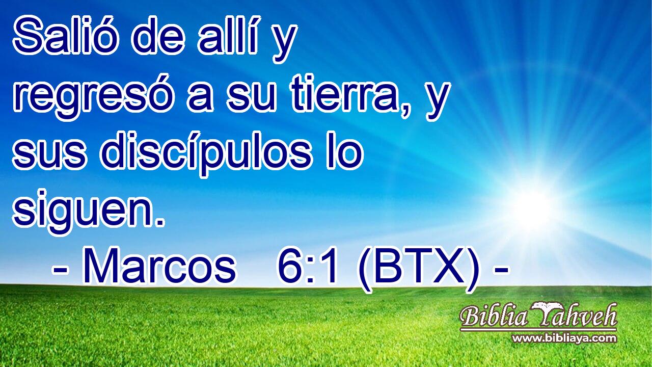 Salió de allí y regresó a su tierra, y sus discípulos lo siguen.