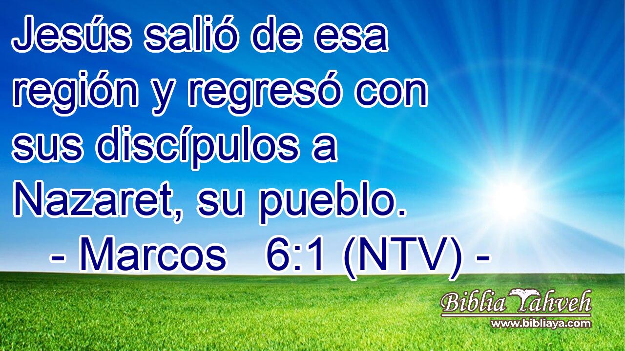 Jesús salió de esa región y regresó con sus discípulos a Nazaret, su pueblo.