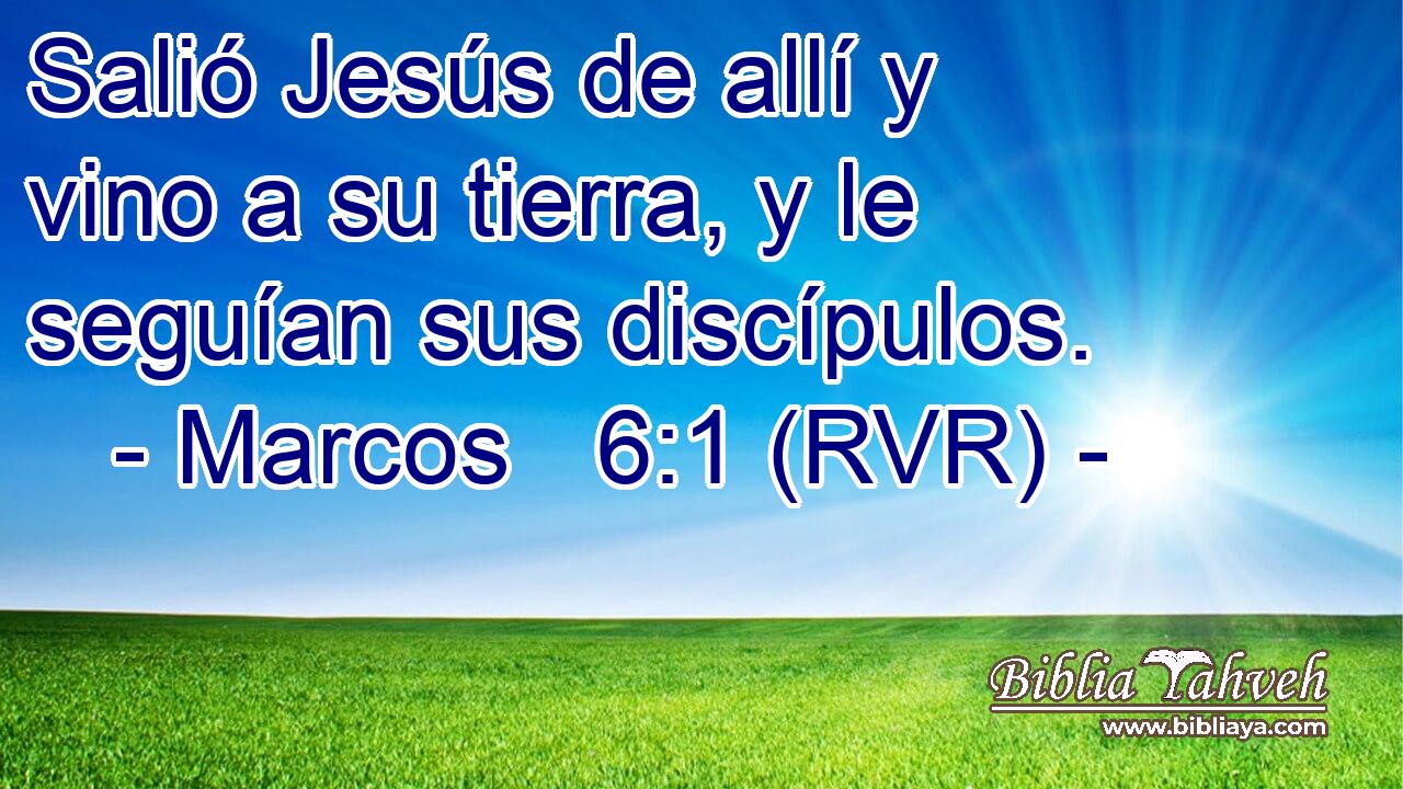 Salió Jesús de allí y vino a su tierra, y le seguían sus discípulos.