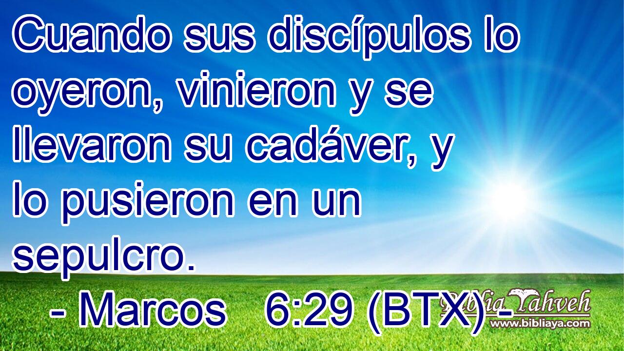 Cuando sus discípulos lo oyeron, vinieron y se llevaron su cadáver, y lo pusieron en un sepulcro.
