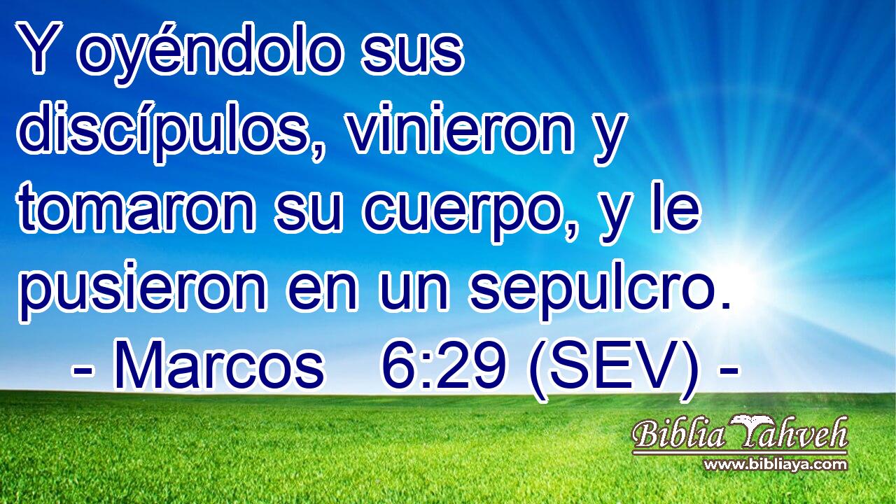 Y oyéndolo sus discípulos, vinieron y tomaron su cuerpo, y le pusieron en un sepulcro.