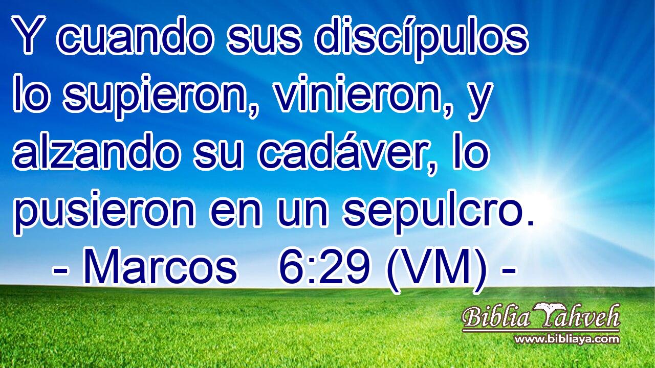  Y cuando sus discípulos lo supieron, vinieron, y alzando su cadáver, lo pusieron en un sepulcro. 