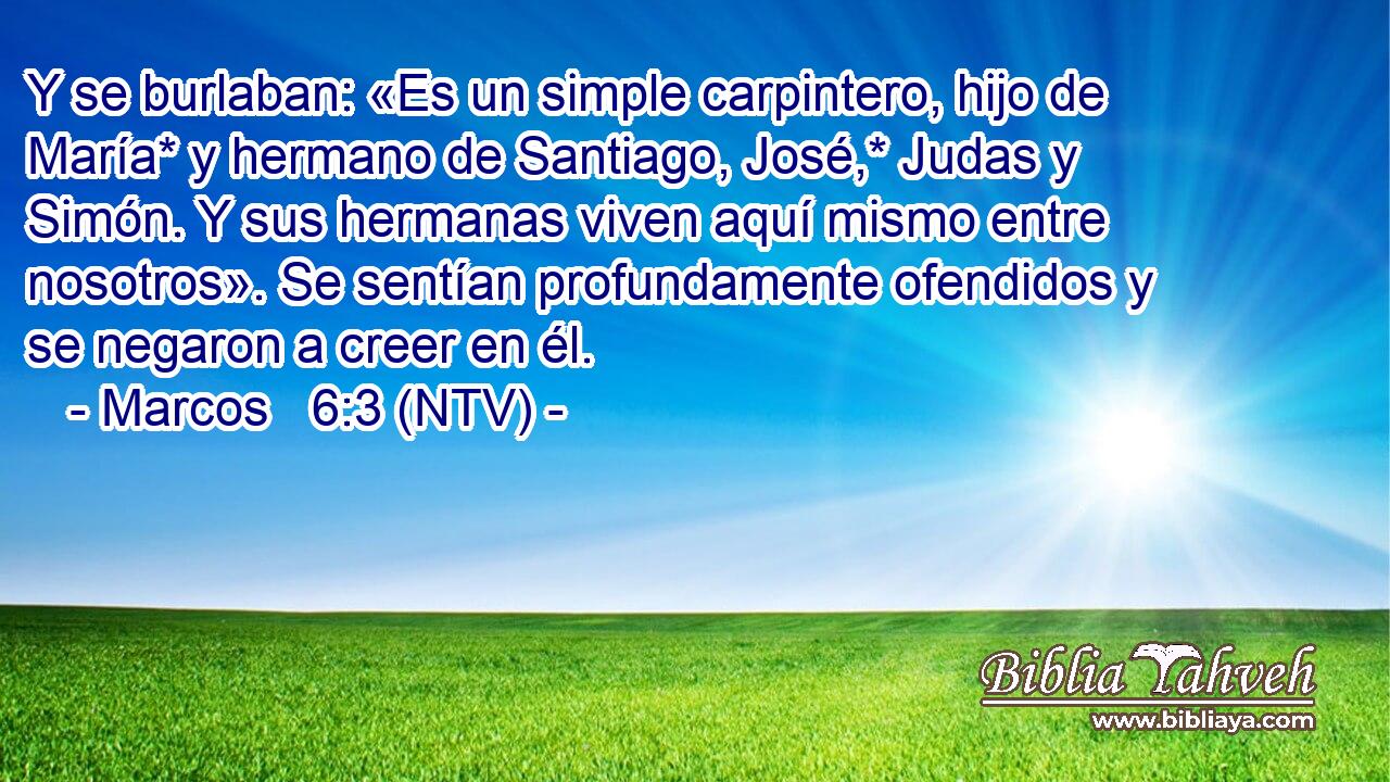 Y se burlaban: «Es un simple carpintero, hijo de María* y hermano de Santiago, José,* Judas y Simón. Y sus hermanas viven aquí mismo entre nosotros». Se sentían profundamente ofendidos y se negaron a creer en él.