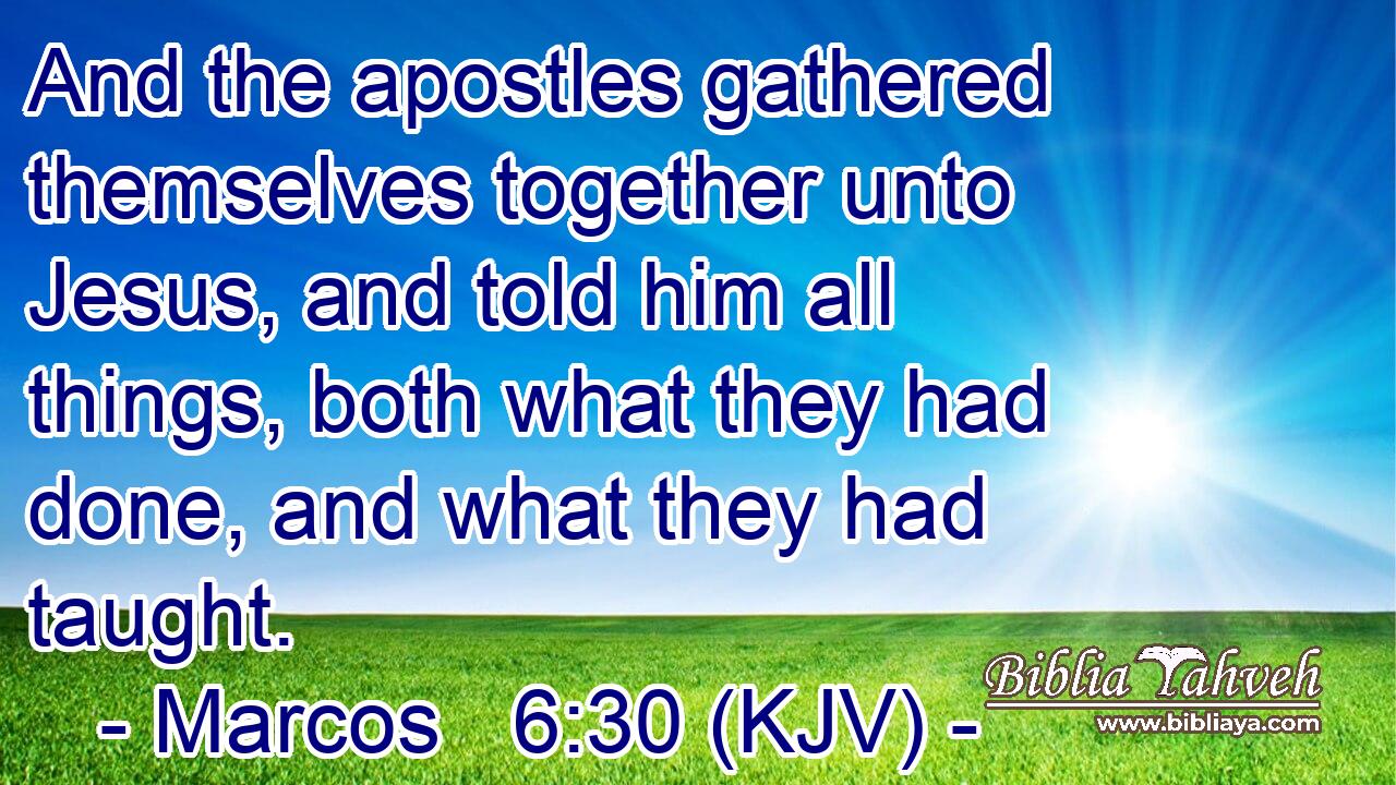 And the apostles gathered themselves together unto Jesus, and told him all things, both what they had done, and what they had taught.