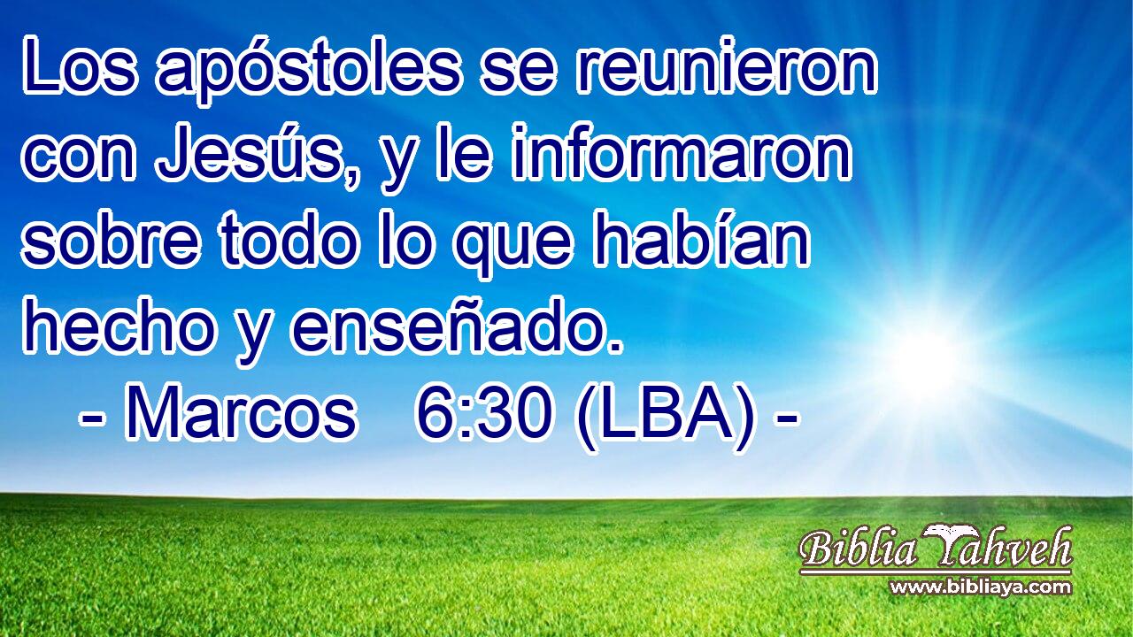 Los apóstoles se reunieron con Jesús, y le informaron sobre todo lo que habían hecho y enseñado.