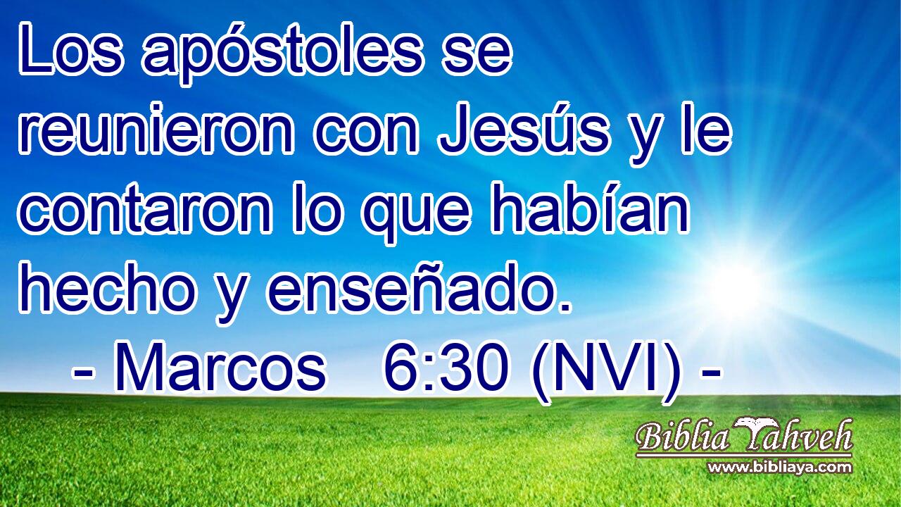  Los apóstoles se reunieron con Jesús y le contaron lo que habían hecho y enseñado. 