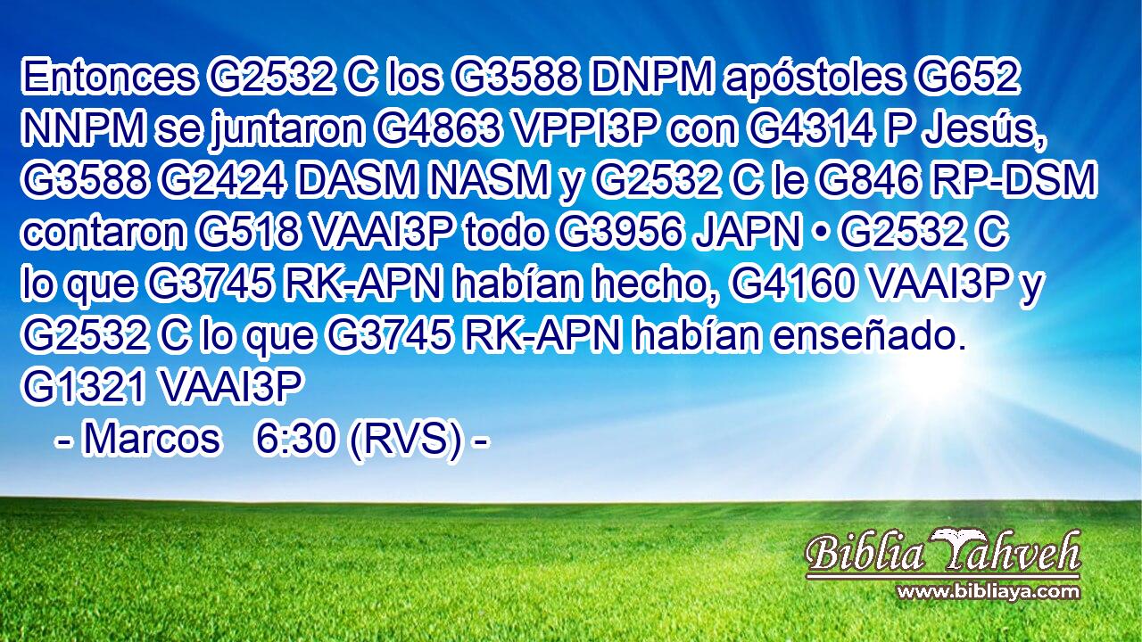 Entonces G2532 C los G3588 DNPM apóstoles G652 NNPM se juntaron G4863 VPPI3P con G4314 P Jesús, G3588 G2424 DASM NASM y G2532 C le G846 RP-DSM contaron G518 VAAI3P todo G3956 JAPN • G2532 C lo que G3745 RK-APN habían hecho, G4160 VAAI3P y G2532 C lo que G3745 RK-APN habían enseñado. G1321 VAAI3P 