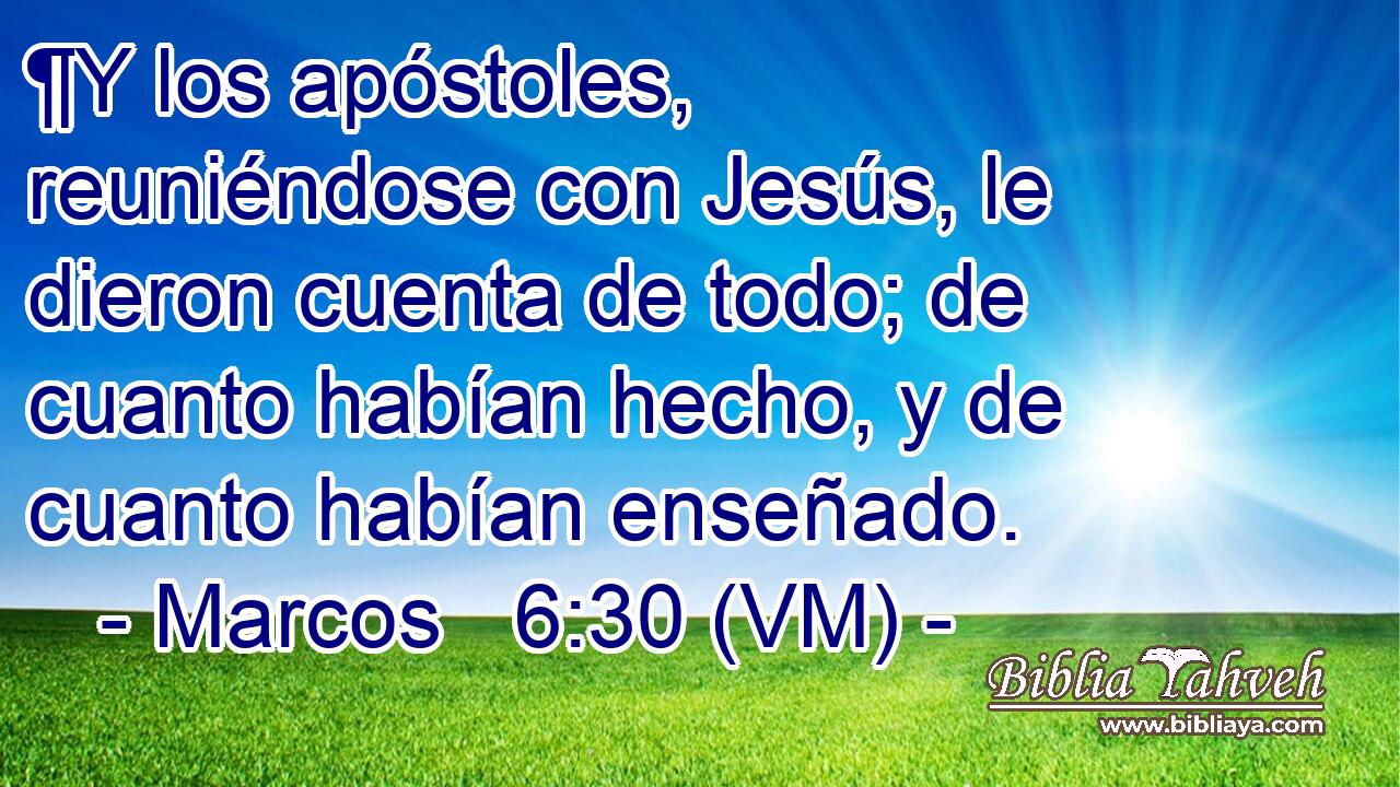  ¶Y los apóstoles, reuniéndose con Jesús, le dieron cuenta de todo; de cuanto habían hecho, y de cuanto habían enseñado. 