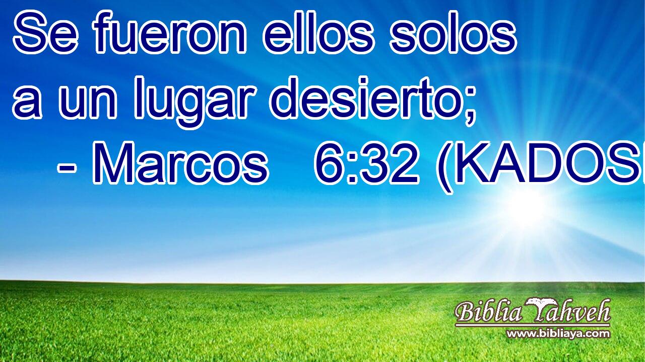  Se fueron ellos solos a un lugar desierto; 