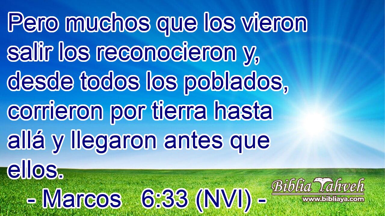  Pero muchos que los vieron salir los reconocieron y, desde todos los poblados, corrieron por tierra hasta allá y llegaron antes que ellos. 