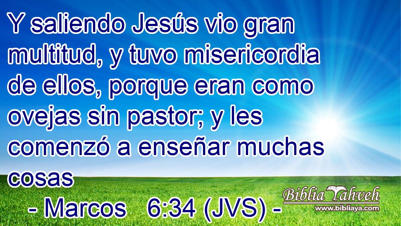 Y saliendo Jesús vio gran multitud, y tuvo misericordia de ellos, porque eran como ovejas sin pastor; y les comenzó a enseñar muchas cosas