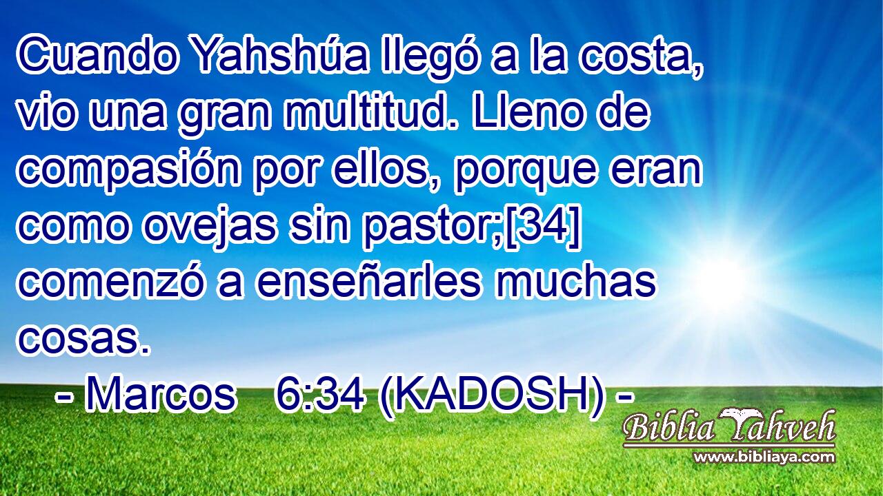  Cuando Yahshúa llegó a la costa, vio una gran multitud. Lleno de compasión por ellos, porque eran como ovejas sin pastor;[34] comenzó a enseñarles muchas cosas. 