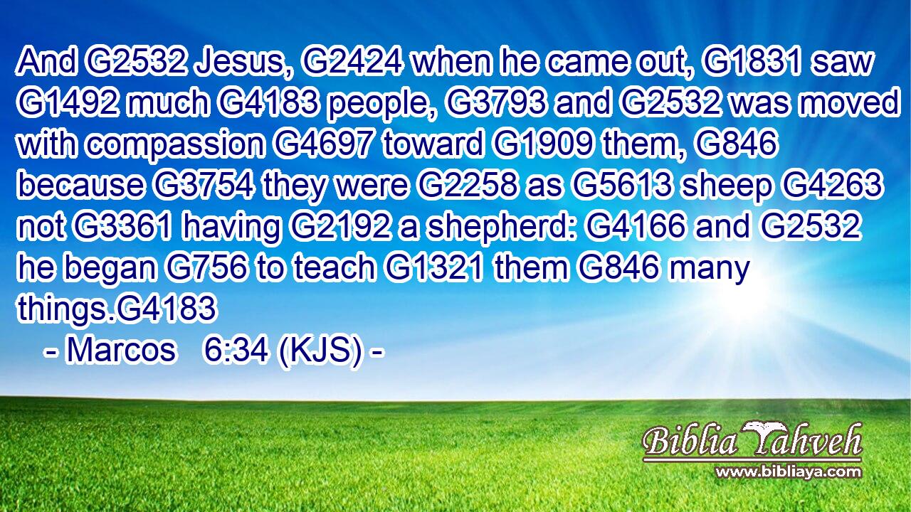 And G2532 Jesus, G2424 when he came out, G1831 saw G1492 much G4183 people, G3793 and G2532 was moved with compassion G4697 toward G1909 them, G846 because G3754 they were G2258 as G5613 sheep G4263 not G3361 having G2192 a shepherd: G4166 and G2532 he began G756 to teach G1321 them G846 many things.G4183