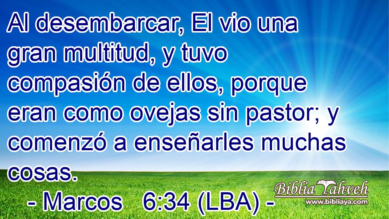 Al desembarcar, El vio una gran multitud, y tuvo compasión de ellos, porque eran como ovejas sin pastor; y comenzó a enseñarles muchas cosas.