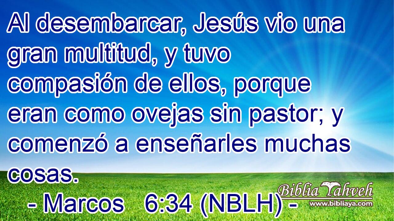  Al desembarcar, Jesús vio una gran multitud, y tuvo compasión de ellos, porque eran como ovejas sin pastor; y comenzó a enseñarles muchas cosas. 