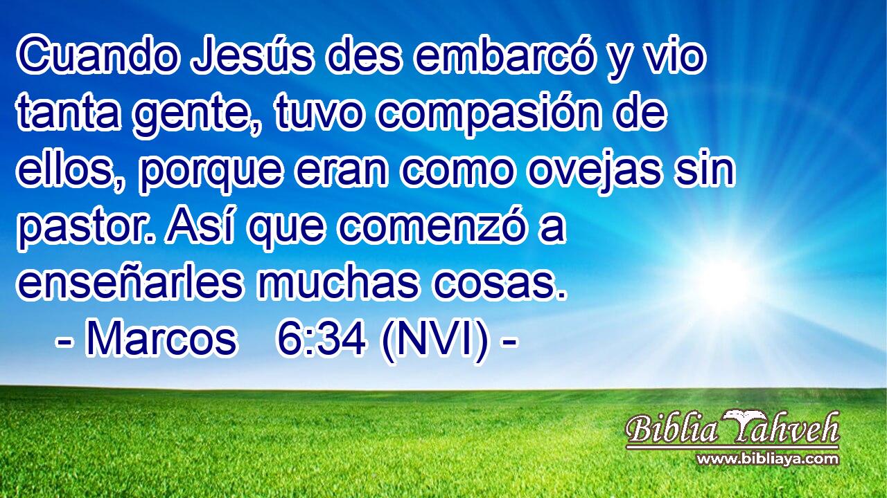  Cuando Jesús des embarcó y vio tanta gente, tuvo compasión de ellos, porque eran como ovejas sin pastor. Así que comenzó a enseñarles muchas cosas. 
