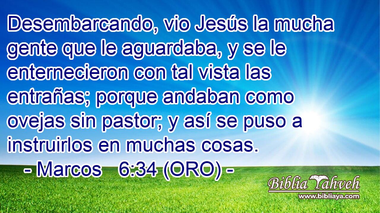  Desembarcando, vio Jesús la mucha gente que le aguardaba, y se le enternecieron con tal vista las entrañas; porque andaban como ovejas sin pastor; y así se puso a instruirlos en muchas cosas. 