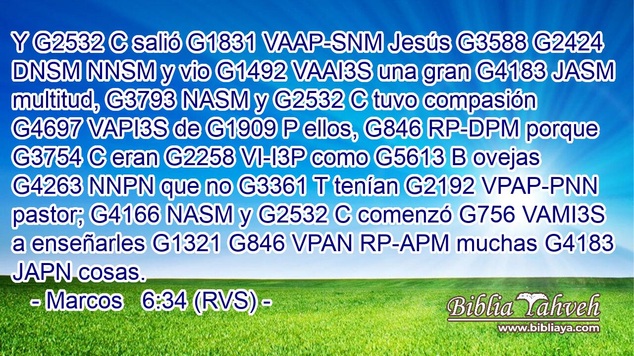 Y G2532 C salió G1831 VAAP-SNM Jesús G3588 G2424 DNSM NNSM y vio G1492 VAAI3S una gran G4183 JASM multitud, G3793 NASM y G2532 C tuvo compasión G4697 VAPI3S de G1909 P ellos, G846 RP-DPM porque G3754 C eran G2258 VI-I3P como G5613 B ovejas G4263 NNPN que no G3361 T tenían G2192 VPAP-PNN pastor; G4166 NASM y G2532 C comenzó G756 VAMI3S a enseñarles G1321 G846 VPAN RP-APM muchas G4183 JAPN cosas. 