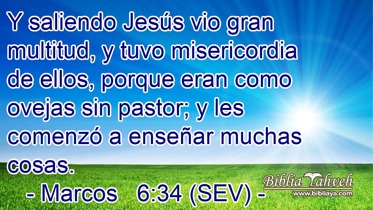 Y saliendo Jesús vio gran multitud, y tuvo misericordia de ellos, porque eran como ovejas sin pastor; y les comenzó a enseñar muchas cosas.