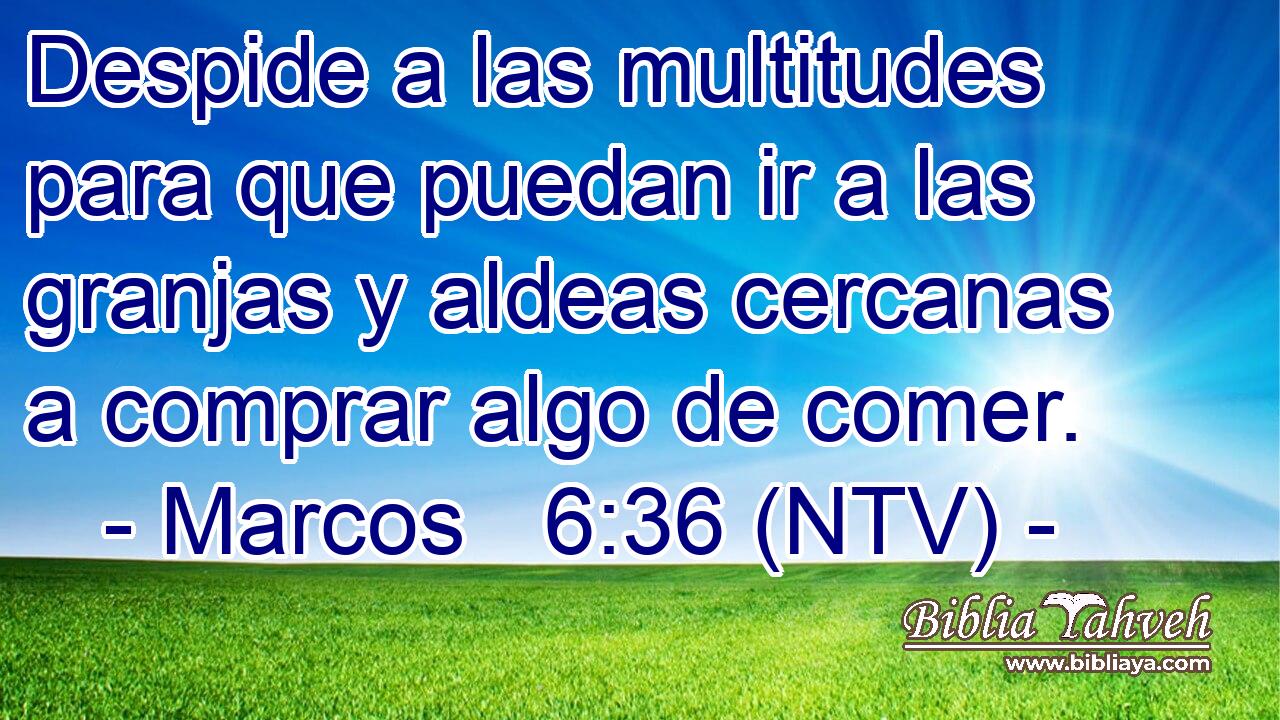 Despide a las multitudes para que puedan ir a las granjas y aldeas cercanas a comprar algo de comer.