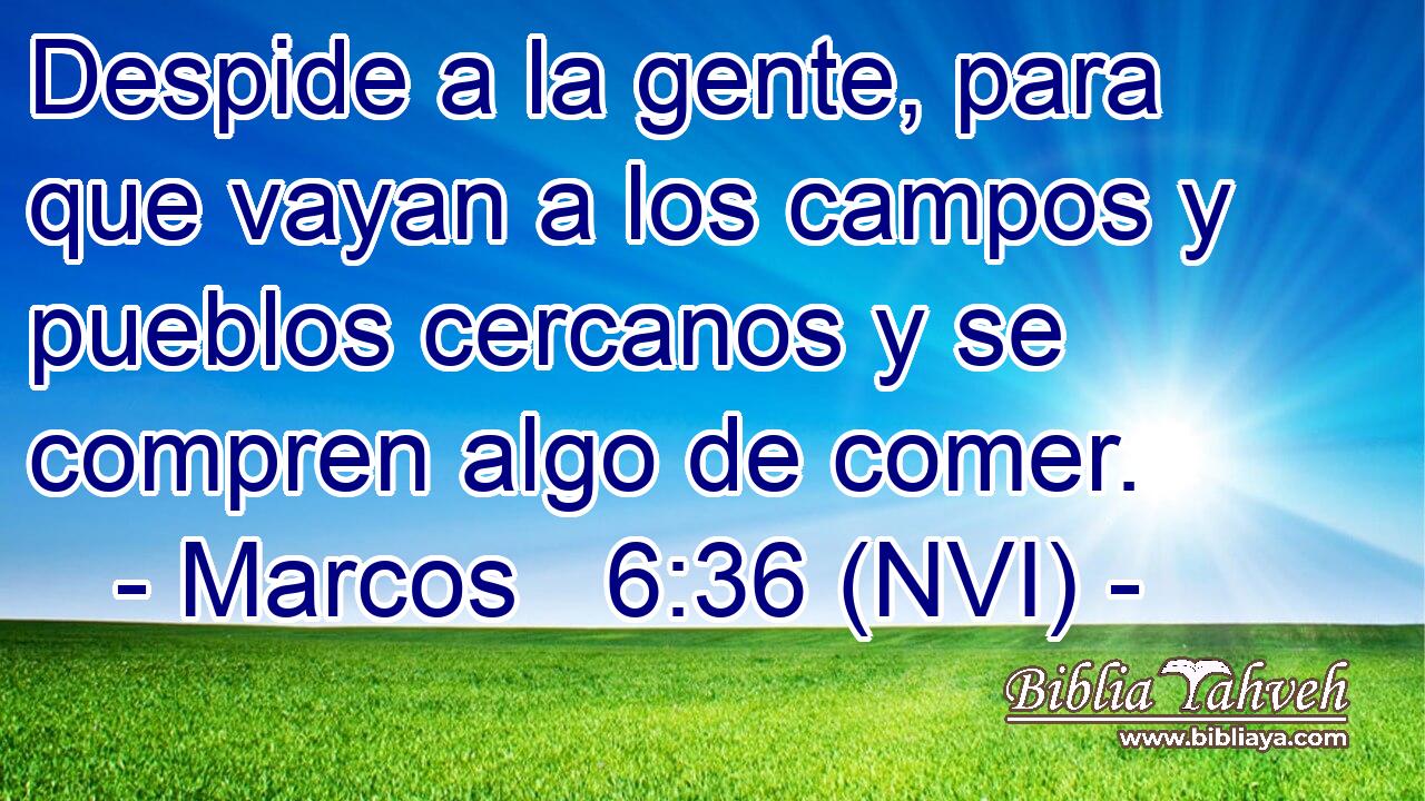  Despide a la gente, para que vayan a los campos y pueblos cercanos y se compren algo de comer. 