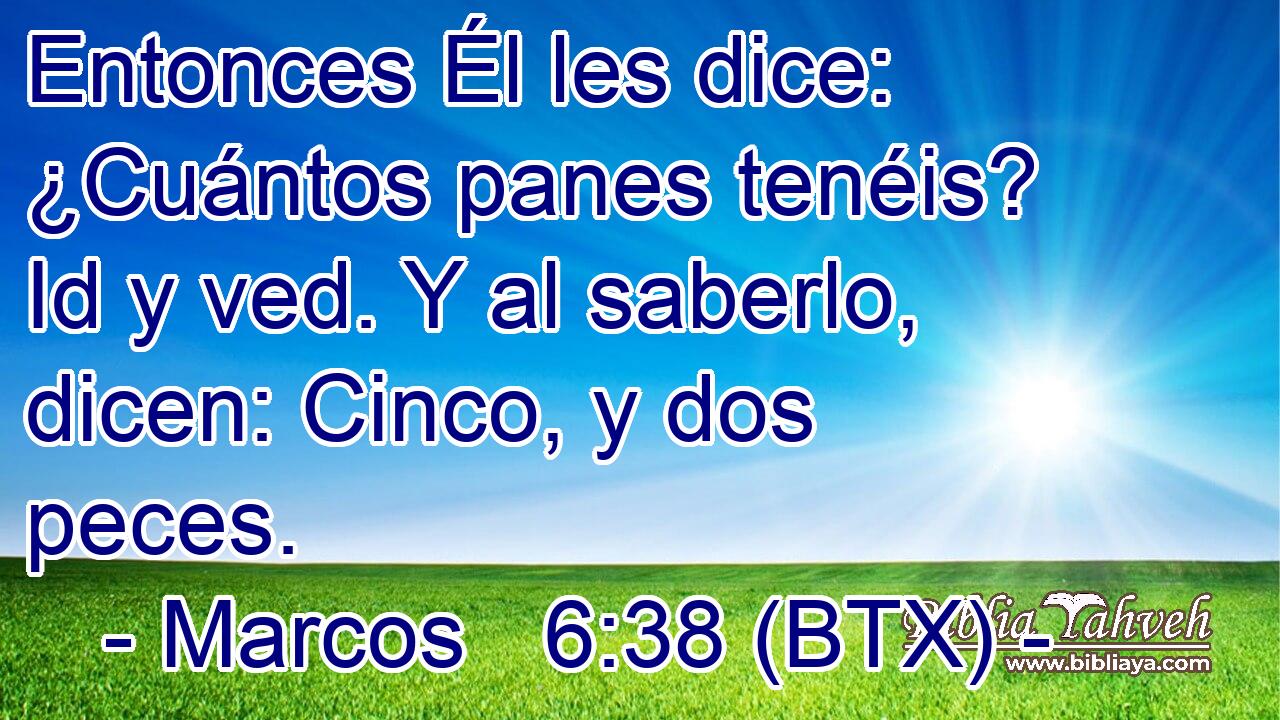 Entonces Él les dice: ¿Cuántos panes tenéis? Id y ved. Y al saberlo, dicen: Cinco, y dos peces.