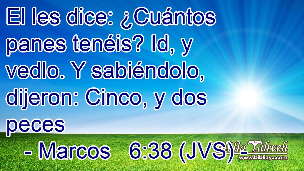 El les dice: ¿Cuántos panes tenéis? Id, y vedlo. Y sabiéndolo, dijeron: Cinco, y dos peces