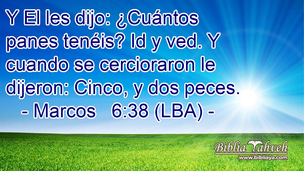 Y El les dijo: ¿Cuántos panes tenéis? Id y ved. Y cuando se cercioraron le dijeron: Cinco, y dos peces.