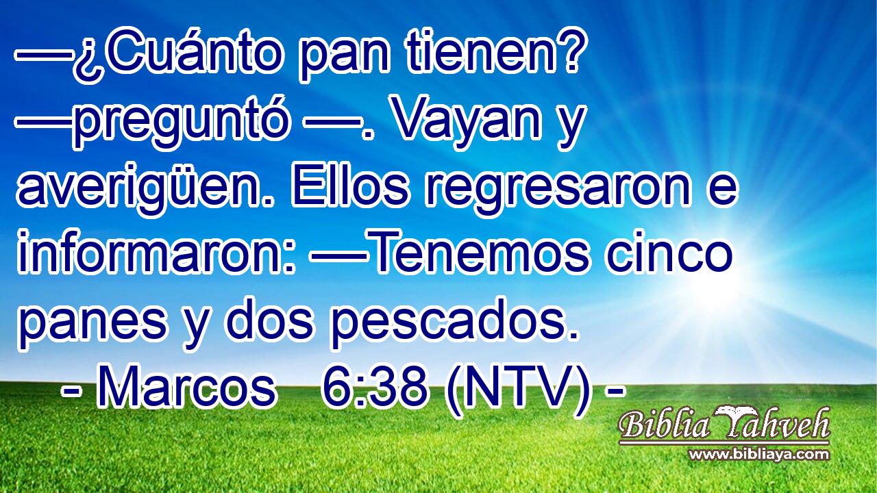 —¿Cuánto pan tienen? —preguntó —. Vayan y averigüen. Ellos regresaron e informaron: —Tenemos cinco panes y dos pescados.