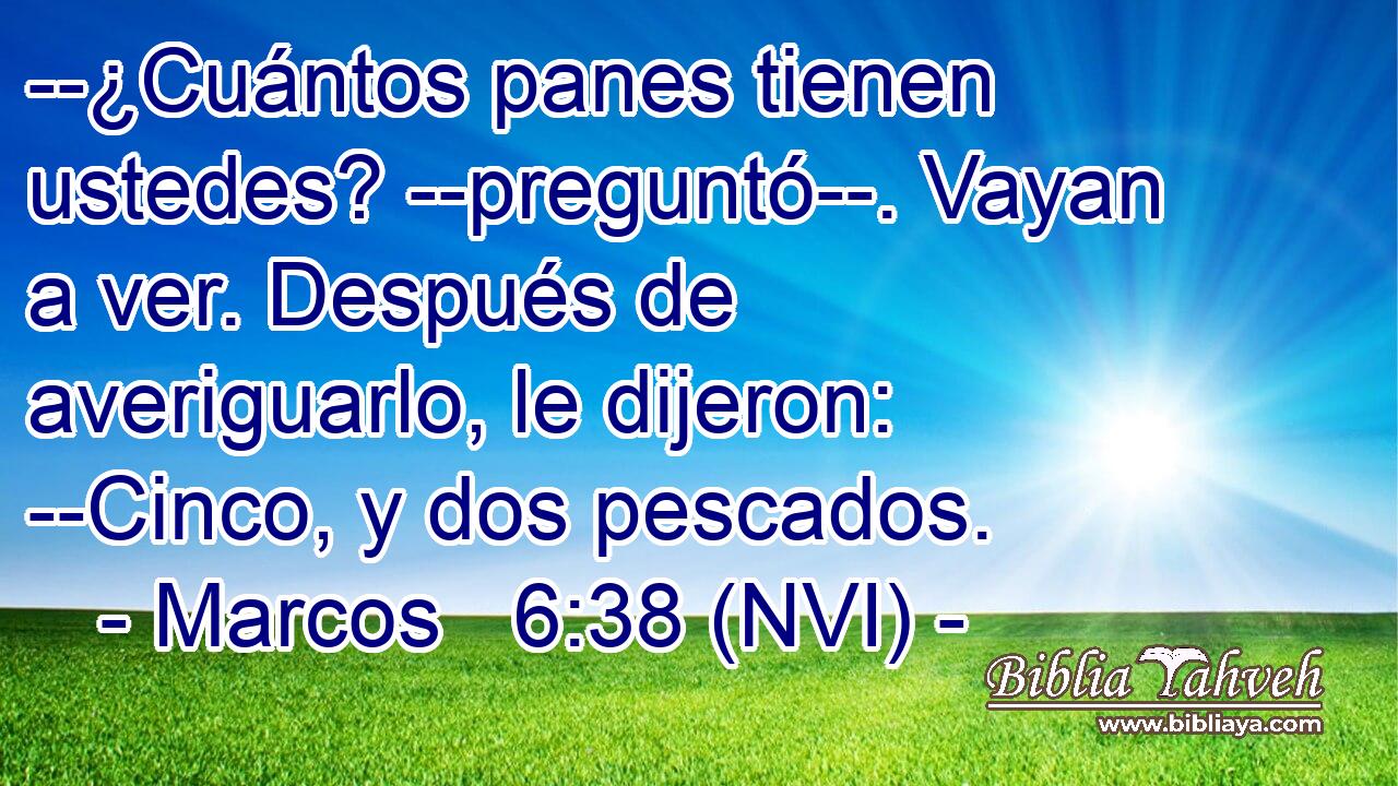  --¿Cuántos panes tienen ustedes? --preguntó--. Vayan a ver. Después de averiguarlo, le dijeron: --Cinco, y dos pescados. 
